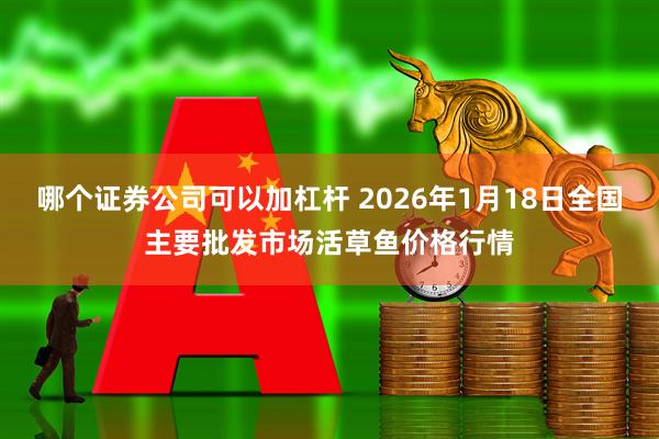 哪个证券公司可以加杠杆 2026年1月18日全国主要批发市场活草鱼价格行情