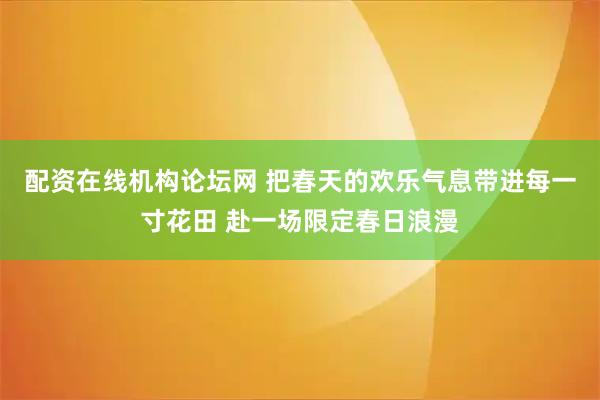 配资在线机构论坛网 把春天的欢乐气息带进每一寸花田 赴一场限定春日浪漫
